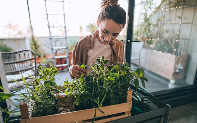 Mujer cuidando de sus plantas