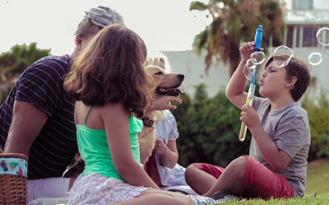 Familia en el parque disfrutando de un picnic