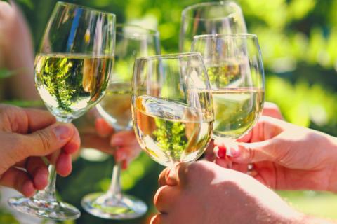 A quién afecta más el alcohol cuando brindas con vino. 